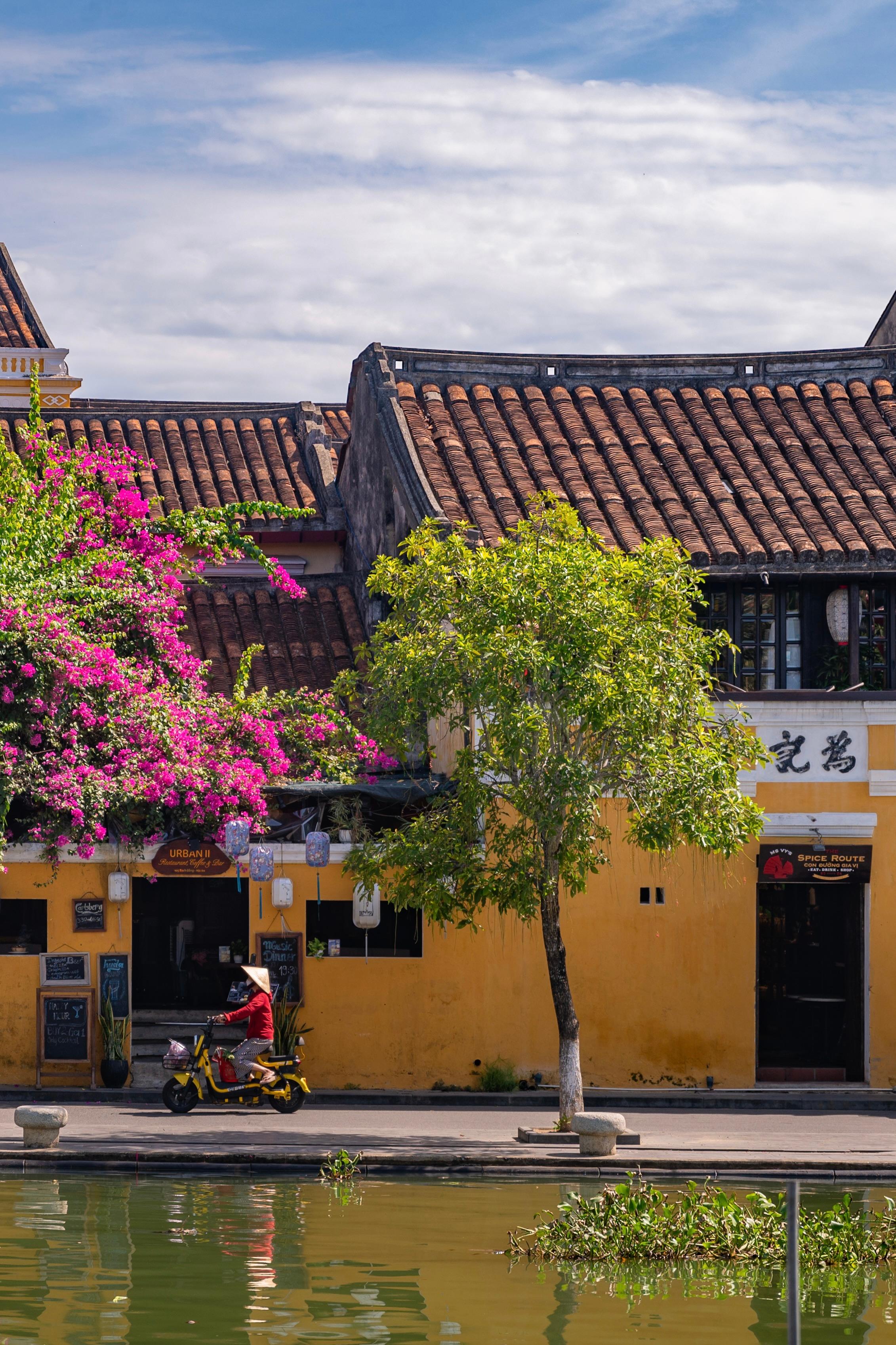 A rider on a scooter passing yellow shophouses with bougainvillea in bloom
