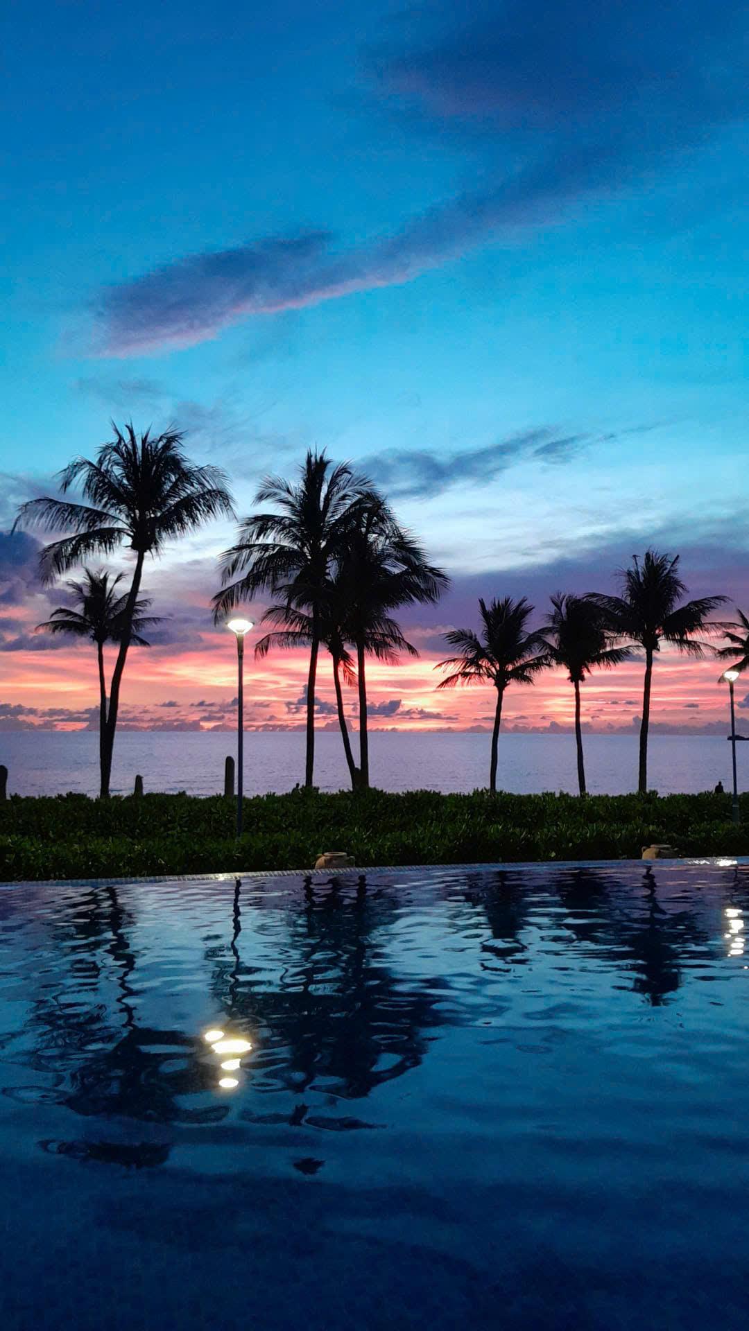 Palm trees silhouetted against a pink sunset beside a pool by the sea