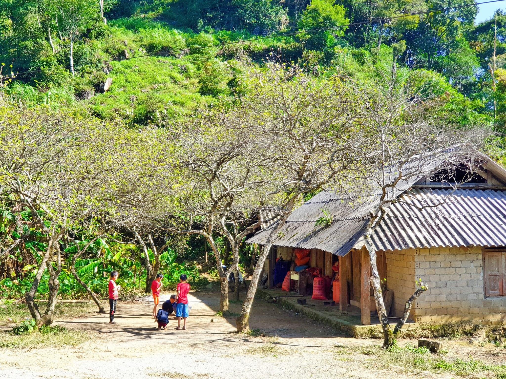 Children playing outside a tiled-roof village house under a large tree