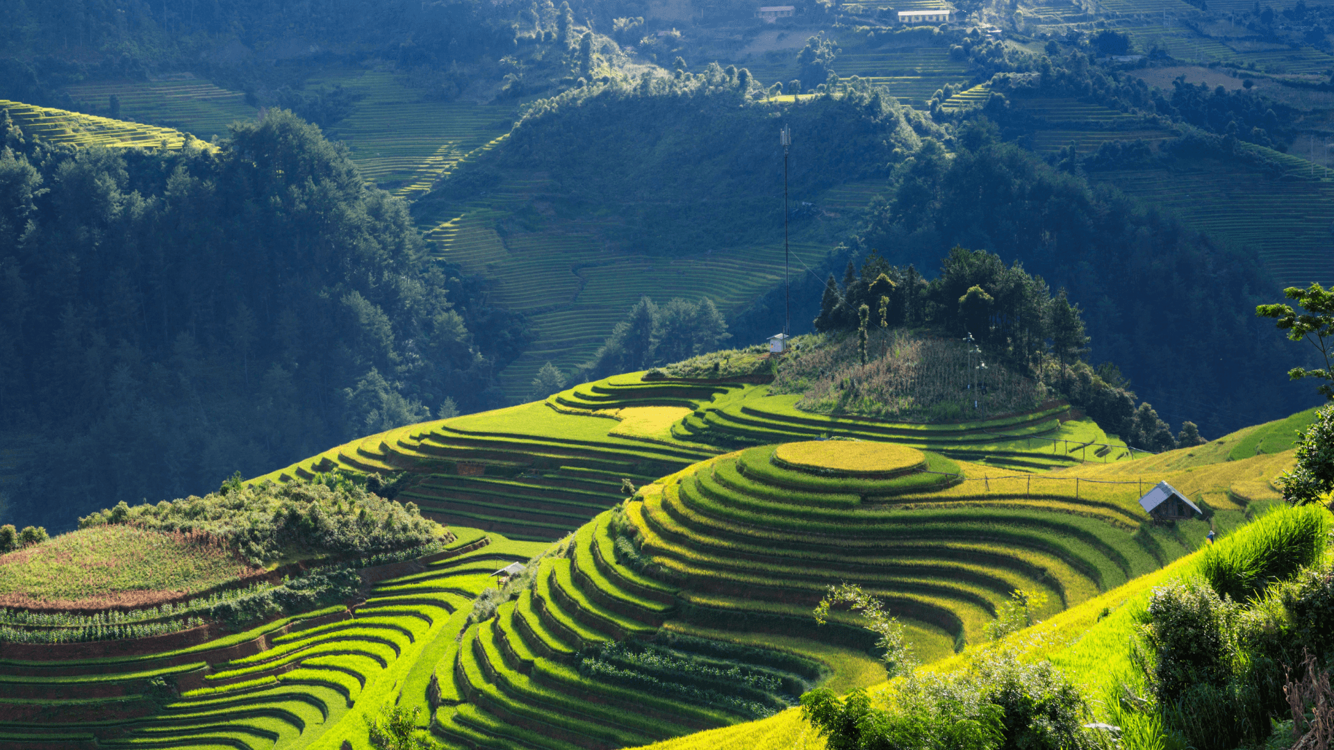 Laos