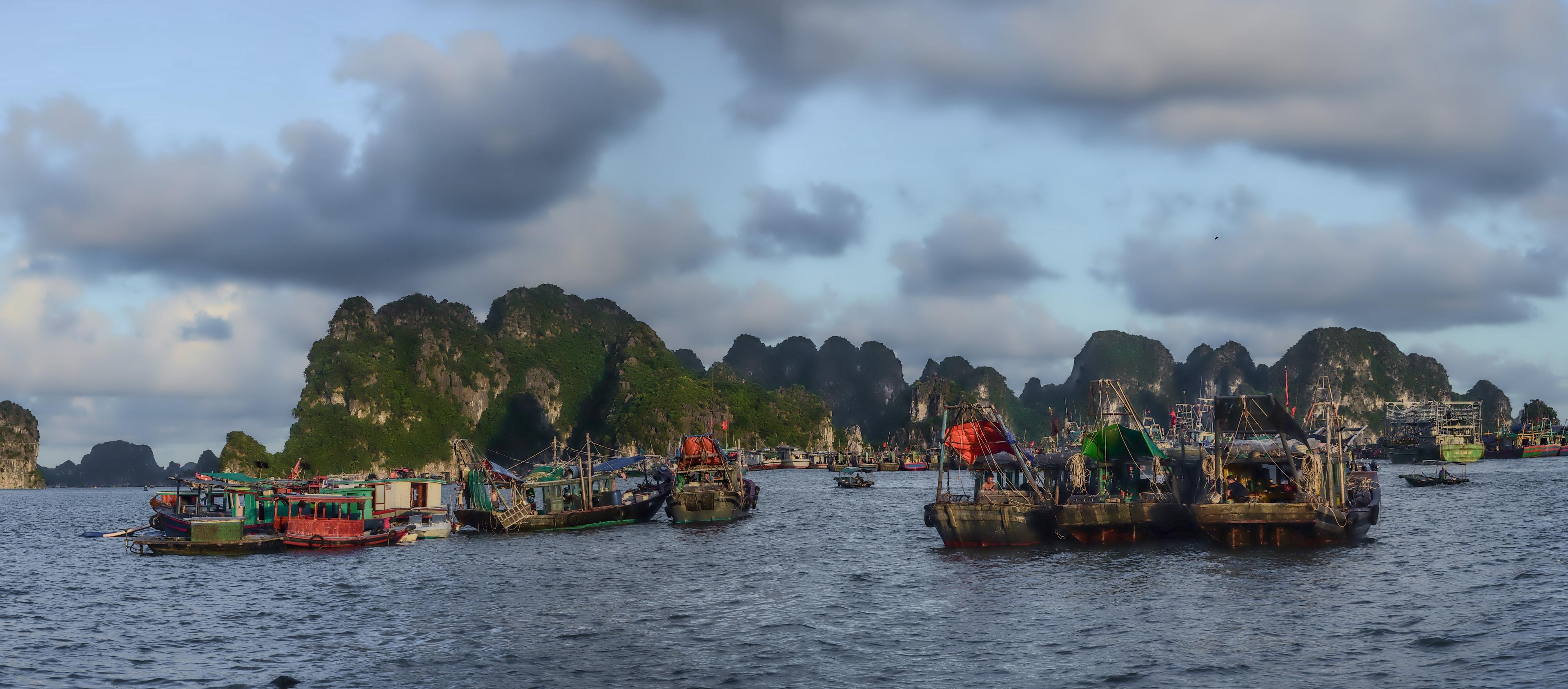 Barche da pesca ormeggiate tra le isole calcaree della baia di Ha Long