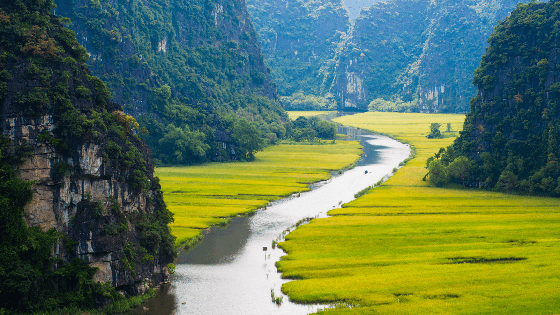 Risaie e fiume di Tam Coc, Ninh Binh