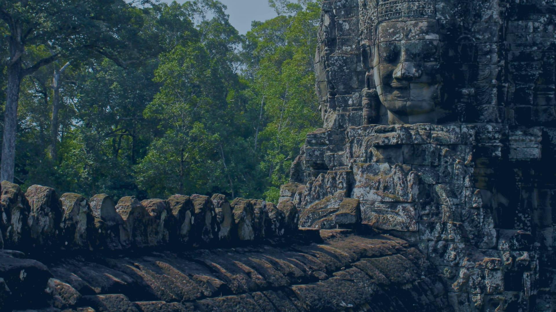Un volto di pietra tra la giungla di Angkor
