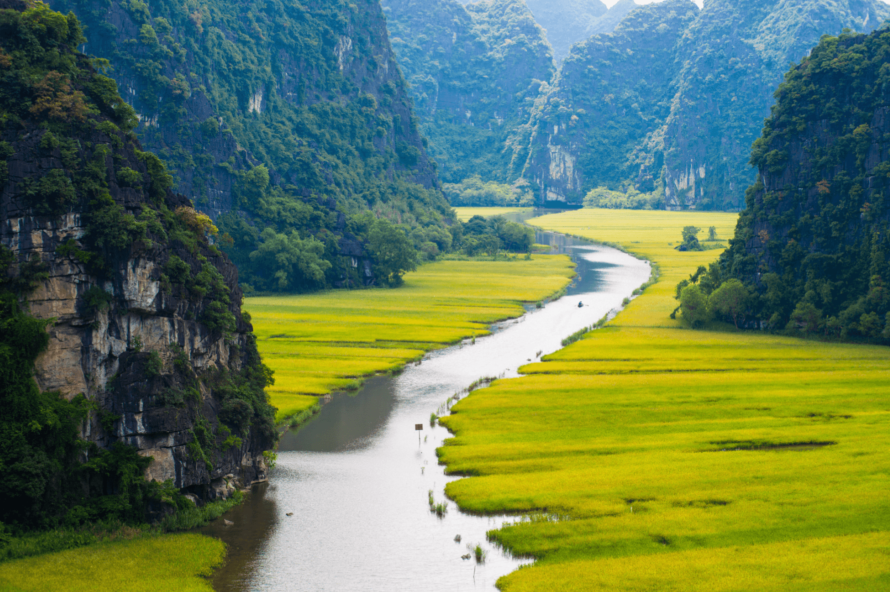 Tour operator - Vietnam group tour background