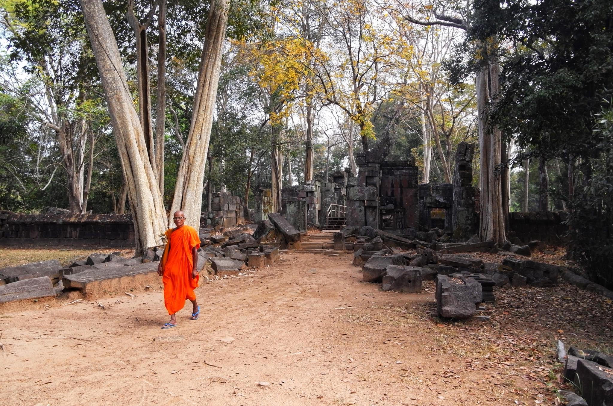 A monk in an orange robe walking a dirt path through temple ruins and tall trees