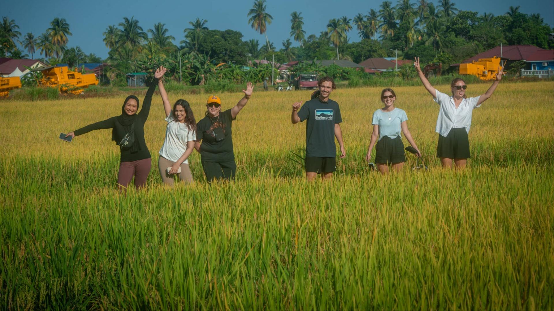 Travellers standing in a golden rice field, waving with their arms raised, palm trees behind them